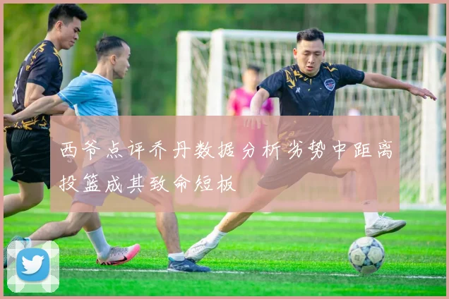 西爷点评乔丹数据分析劣势中距离投篮成其致命短板